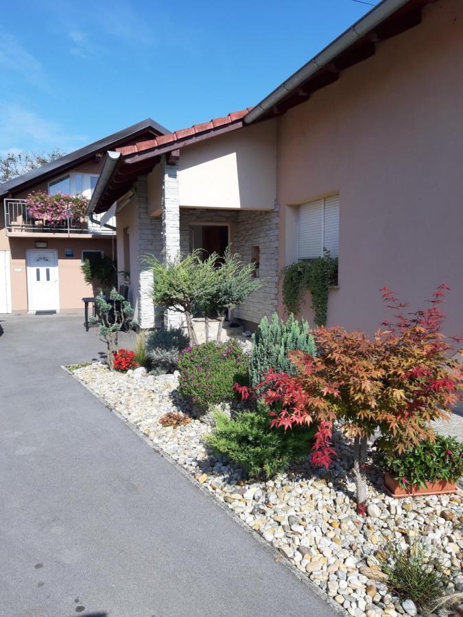 Studio Apartmani "Stimac" Garesnica Dış mekan fotoğraf